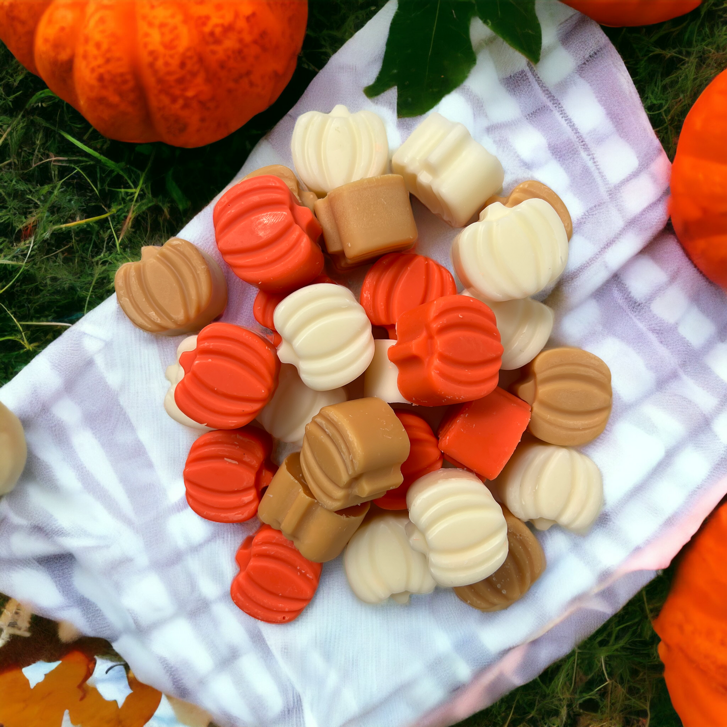 APPLE CIDER & DONUTS WAX MELTS