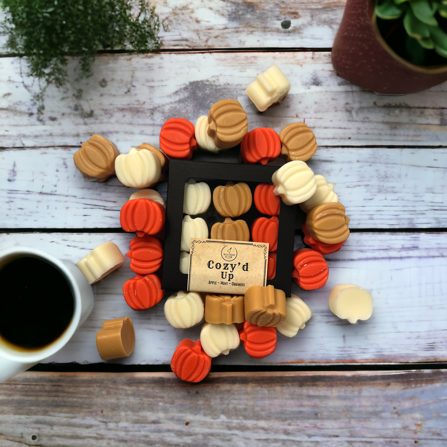 COZY'D UP WAX MELTS